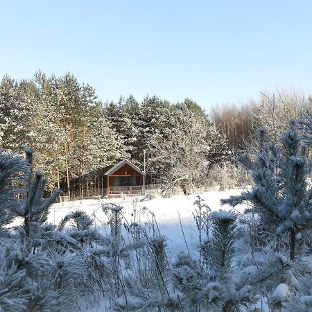 Domki Nad Zalewem W Jacni Adamow  Exterior foto